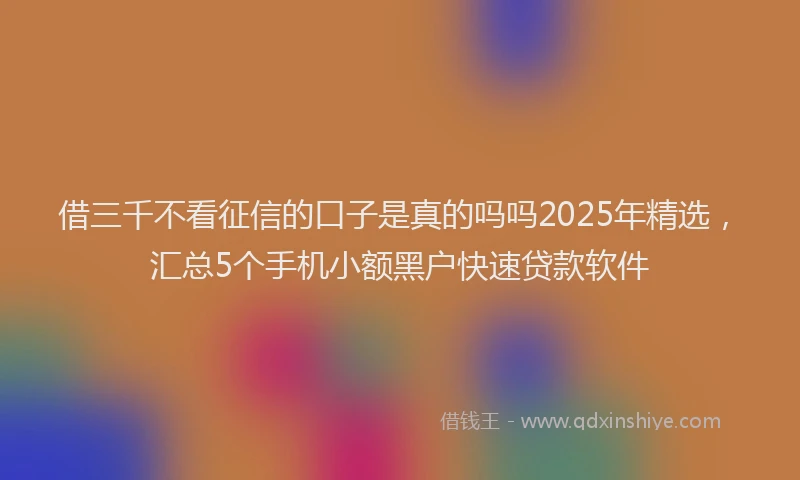 借三千不看征信的口子是真的吗吗2025年精选，汇总5个手机小额黑户快速贷款软件