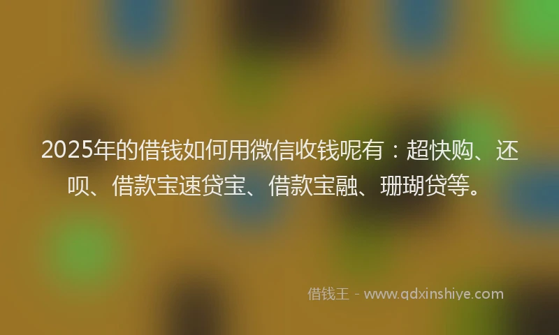 2025年的借钱如何用微信收钱呢有：超快购、还呗、借款宝速贷宝、借款宝融、珊瑚贷等。