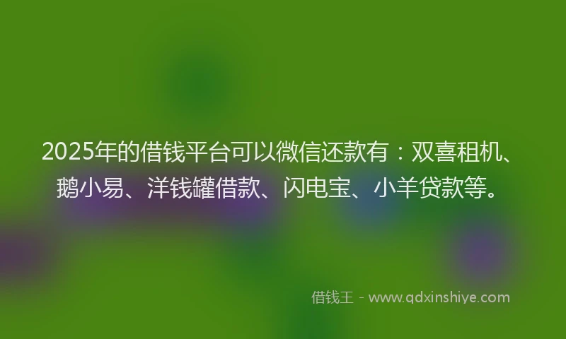 2025年的借钱平台可以微信还款有：双喜租机、鹅小易、洋钱罐借款、闪电宝、小羊贷款等。