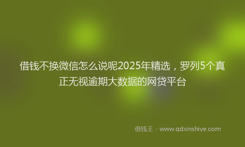 借钱不换微信怎么说呢2025年精选，罗列5个真正无视逾期大数据的网贷平台