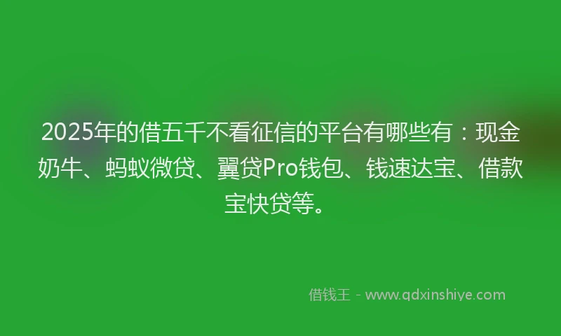 2025年的借五千不看征信的平台有哪些有：现金奶牛、蚂蚁微贷、翼贷Pro钱包、钱速达宝、借款宝快贷等。
