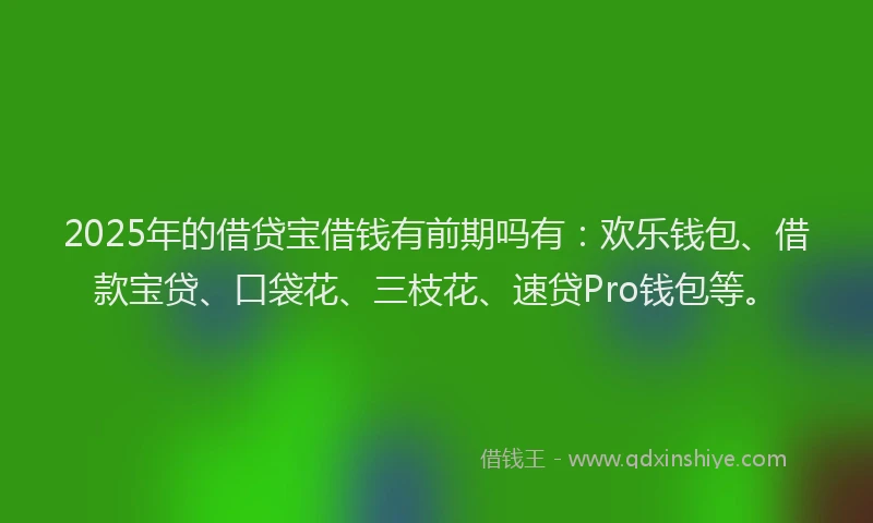 2025年的借贷宝借钱有前期吗有：欢乐钱包、借款宝贷、口袋花、三枝花、速贷Pro钱包等。