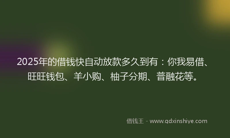2025年的借钱快自动放款多久到有：你我易借、旺旺钱包、羊小购、柚子分期、普融花等。