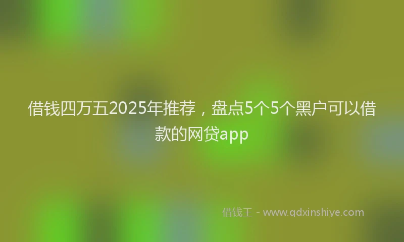 借钱四万五2025年推荐，盘点5个5个黑户可以借款的网贷app
