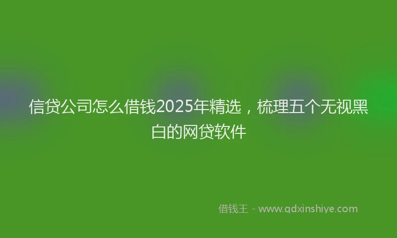 信贷公司怎么借钱2025年精选，梳理五个无视黑白的网贷软件