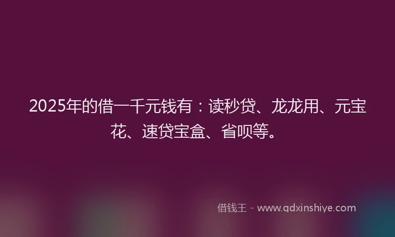 2025年的借一千元钱有：读秒贷、龙龙用、元宝花、速贷宝盒、省呗等。