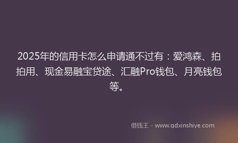 2025年的信用卡怎么申请通不过有：爱鸿森、拍拍用、现金易融宝贷途、汇融Pro钱包、月亮钱包等。