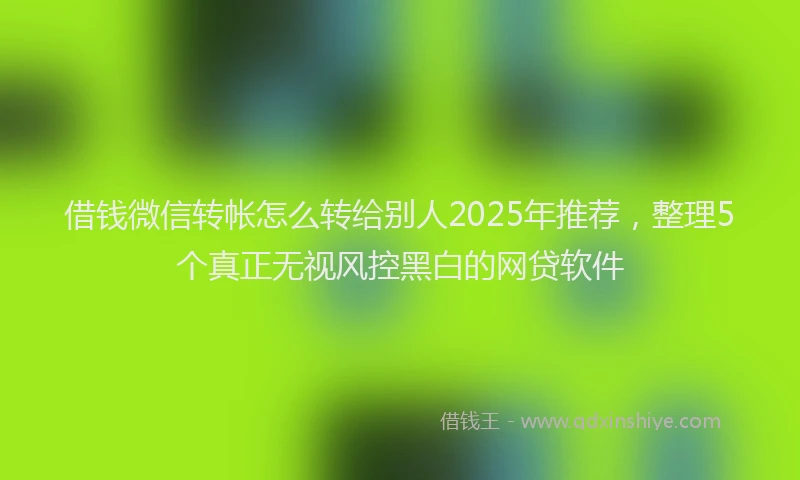 借钱微信转帐怎么转给别人2025年推荐，整理5个真正无视风控黑白的网贷软件