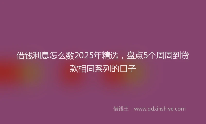 借钱利息怎么数2025年精选，盘点5个周周到贷款相同系列的口子