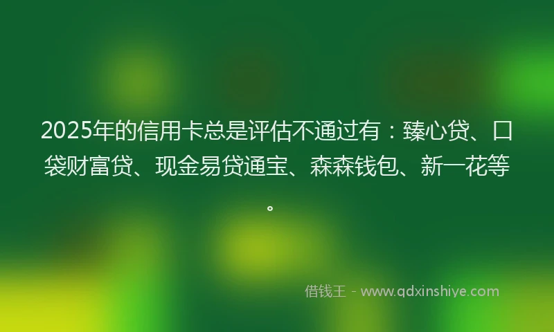2025年的信用卡总是评估不通过有：臻心贷、口袋财富贷、现金易贷通宝、森森钱包、新一花等。