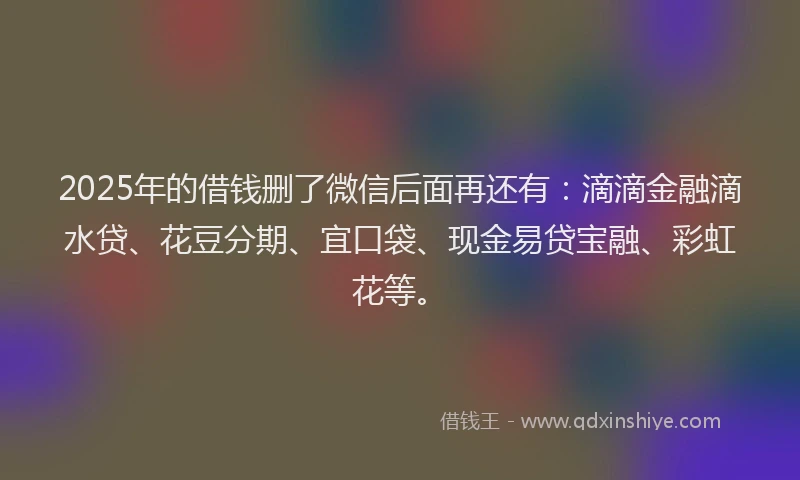 2025年的借钱删了微信后面再还有：滴滴金融滴水贷、花豆分期、宜口袋、现金易贷宝融、彩虹花等。