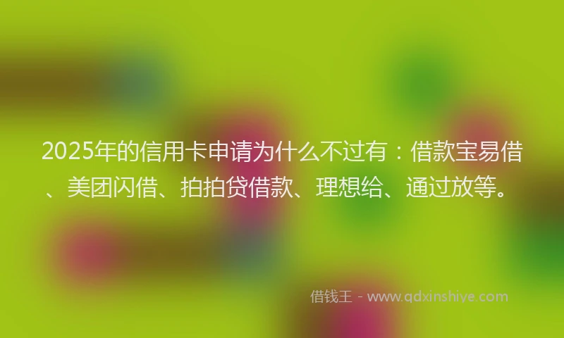 2025年的信用卡申请为什么不过有：借款宝易借、美团闪借、拍拍贷借款、理想给、通过放等。