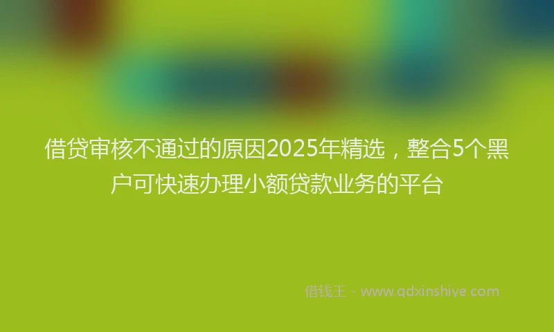 借贷审核不通过的原因2025年精选，整合5个黑户可快速办理小额贷款业务的平台