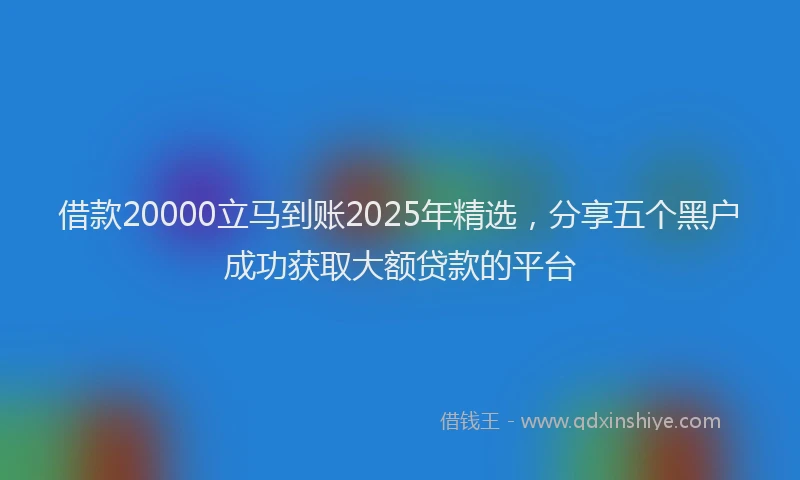 借款20000立马到账2025年精选,分享五个黑户成功获取大额贷款的平台
