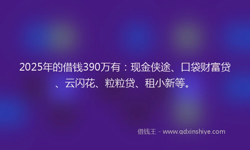 2025年的借钱390万有：现金侠途、口袋财富贷、云闪花、粒粒贷、租小新等。