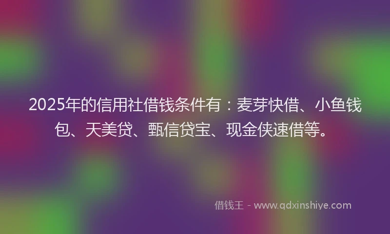 2025年的信用社借钱条件有：麦芽快借、小鱼钱包、天美贷、甄信贷宝、现金侠速借等。