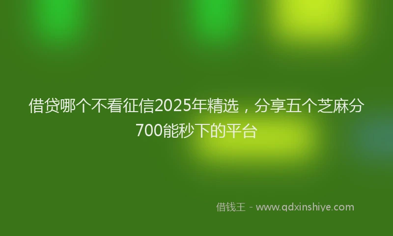 借贷哪个不看征信2025年精选，分享五个芝麻分700能秒下的平台