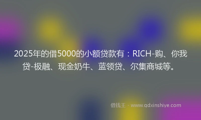 2025年的借5000的小额贷款有：RICH-购、你我贷-极融、现金奶牛、蓝领贷、尔集商城等。