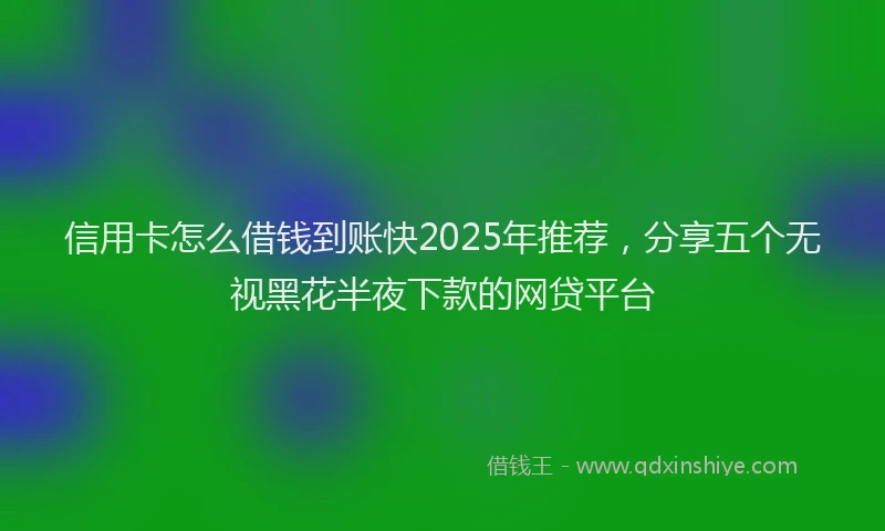信用卡怎么借钱到账快2025年推荐，分享五个无视黑花半夜下款的网贷平台