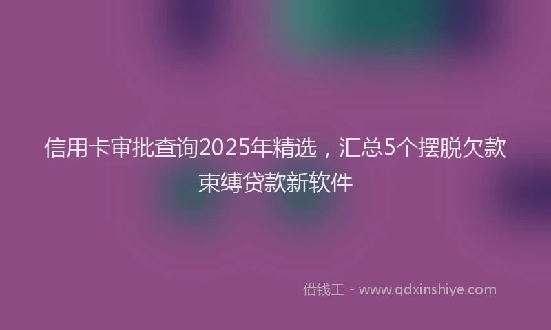 信用卡审批查询2025年精选，汇总5个摆脱欠款束缚贷款新软件