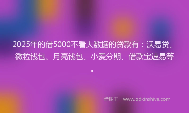 2025年的借5000不看大数据的贷款有：沃易贷、微粒钱包、月亮钱包、小爱分期、借款宝速易等。