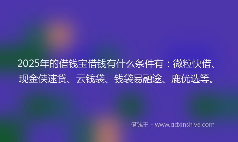 2025年的借钱宝借钱有什么条件有：微粒快借、现金侠速贷、云钱袋、钱袋易融途、鹿优选等。