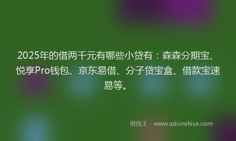 2025年的借两千元有哪些小贷有：森森分期宝、悦享Pro钱包、京东易借、分子贷宝盒、借款宝速易等。