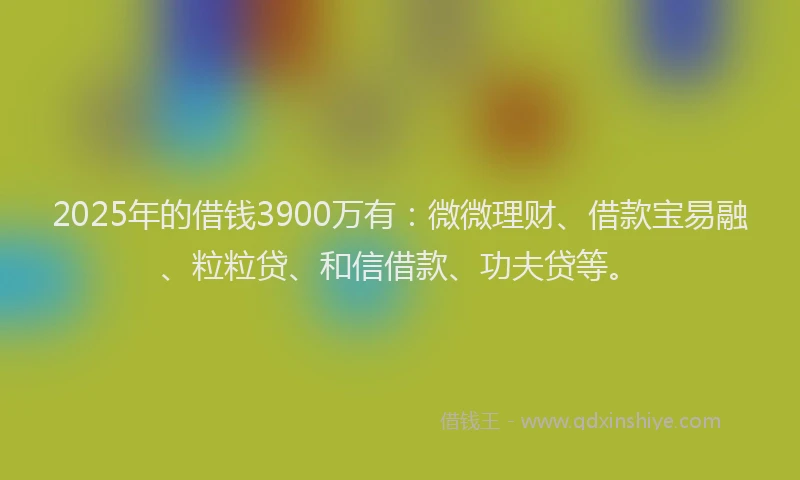 2025年的借钱3900万有：微微理财、借款宝易融、粒粒贷、和信借款、功夫贷等。