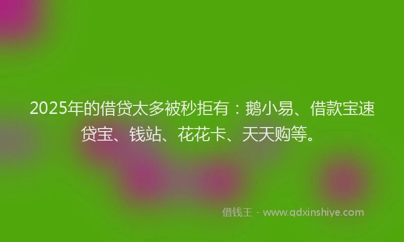 2025年的借贷太多被秒拒有：鹅小易、借款宝速贷宝、钱站、花花卡、天天购等。