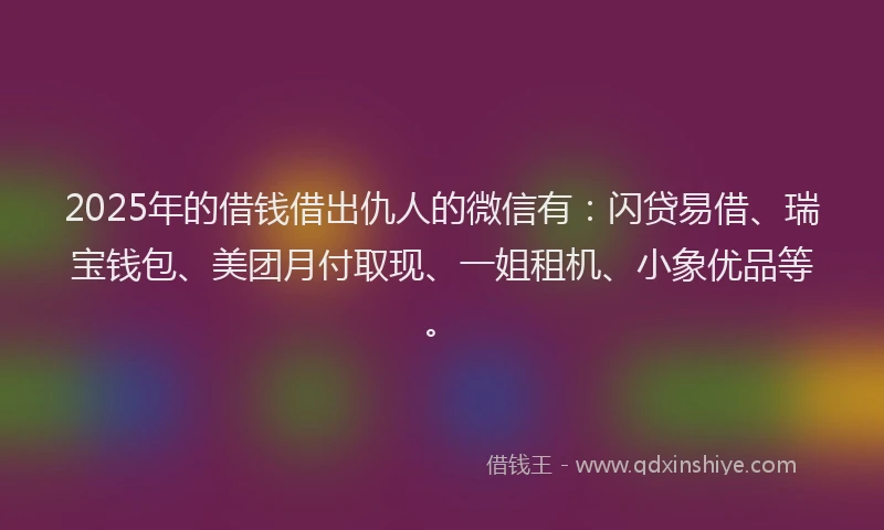 2025年的借钱借出仇人的微信有：闪贷易借、瑞宝钱包、美团月付取现、一姐租机、小象优品等。