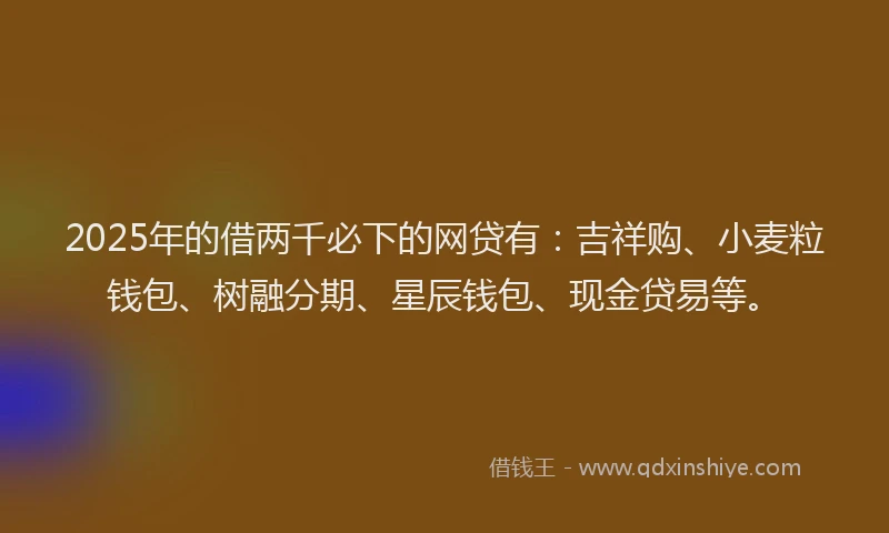 2025年的借两千必下的网贷有：吉祥购、小麦粒钱包、树融分期、星辰钱包、现金贷易等。