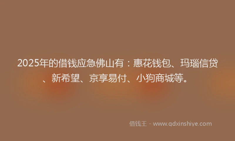 2025年的借钱应急佛山有：惠花钱包、玛瑙信贷、新希望、京享易付、小狗商城等。