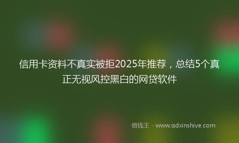 信用卡资料不真实被拒2025年推荐，总结5个真正无视风控黑白的网贷软件