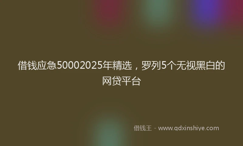 借钱应急50002025年精选，罗列5个无视黑白的网贷平台