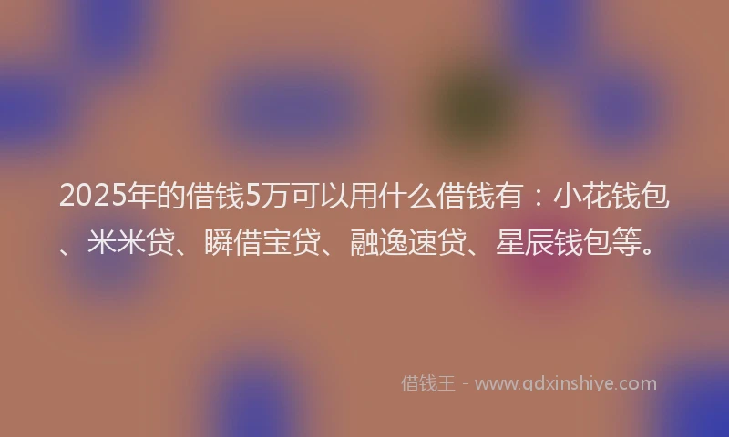 2025年的借钱5万可以用什么借钱有：小花钱包、米米贷、瞬借宝贷、融逸速贷、星辰钱包等。