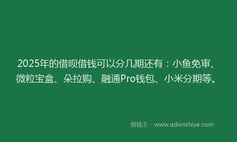 2025年的借呗借钱可以分几期还有：小鱼免审、微粒宝盒、朵拉购、融通Pro钱包、小米分期等。