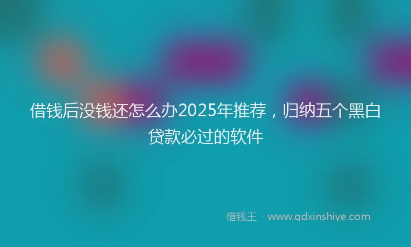 借钱后没钱还怎么办2025年推荐，归纳五个黑白贷款必过的软件