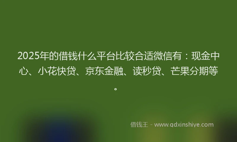 2025年的借钱什么平台比较合适微信有：现金中心、小花快贷、京东金融、读秒贷、芒果分期等。
