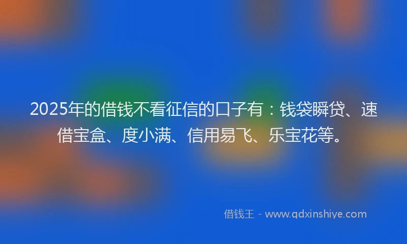 2025年的借钱不看征信的口子有：钱袋瞬贷、速借宝盒、度小满、信用易飞、乐宝花等。