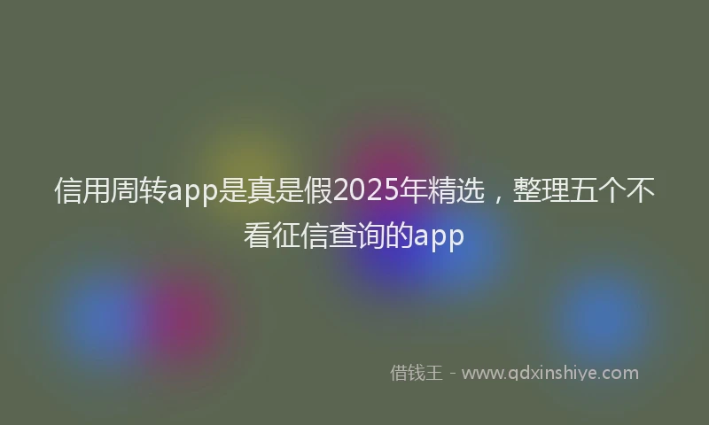 信用周转app是真是假2025年精选，整理五个不看征信查询的app