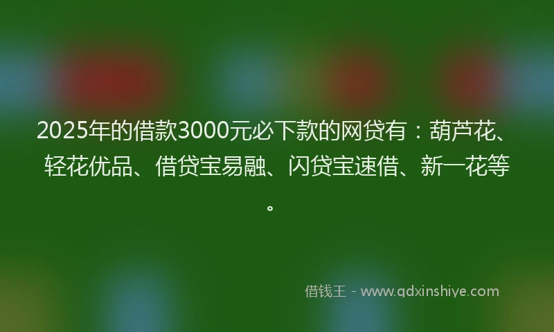 2025年的借款3000元必下款的网贷有：葫芦花、轻花优品、借贷宝易融、闪贷宝速借、新一花等。