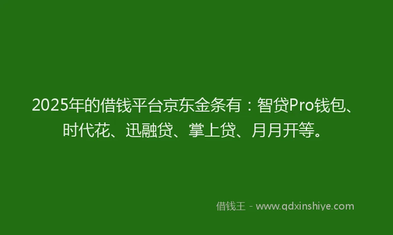 2025年的借钱平台京东金条有：智贷Pro钱包、时代花、迅融贷、掌上贷、月月开等。