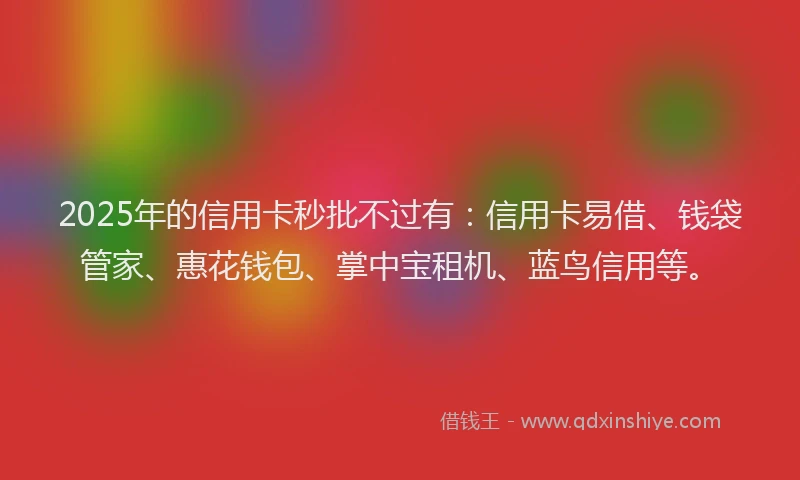 2025年的信用卡秒批不过有：信用卡易借、钱袋管家、惠花钱包、掌中宝租机、蓝鸟信用等。