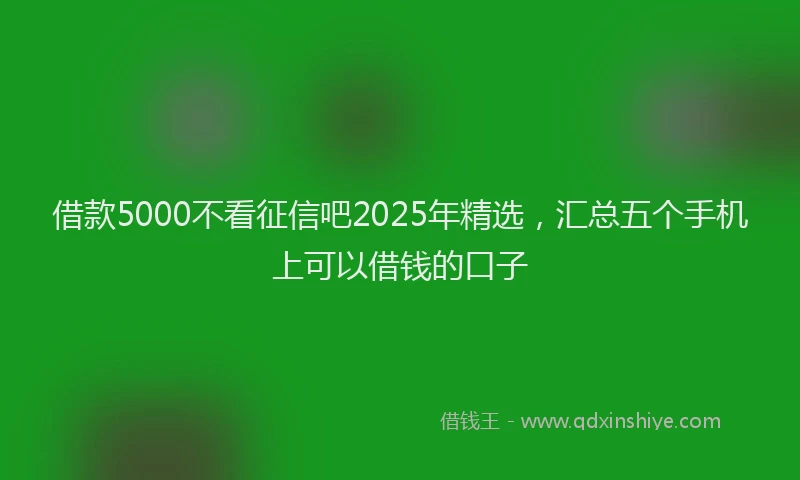 借款5000不看征信吧2025年精选，汇总五个手机上可以借钱的口子