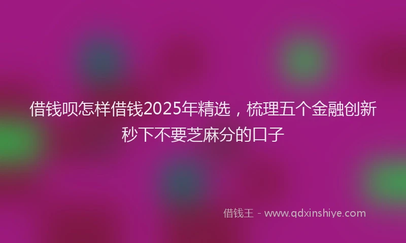 借钱呗怎样借钱2025年精选，梳理五个金融创新秒下不要芝麻分的口子