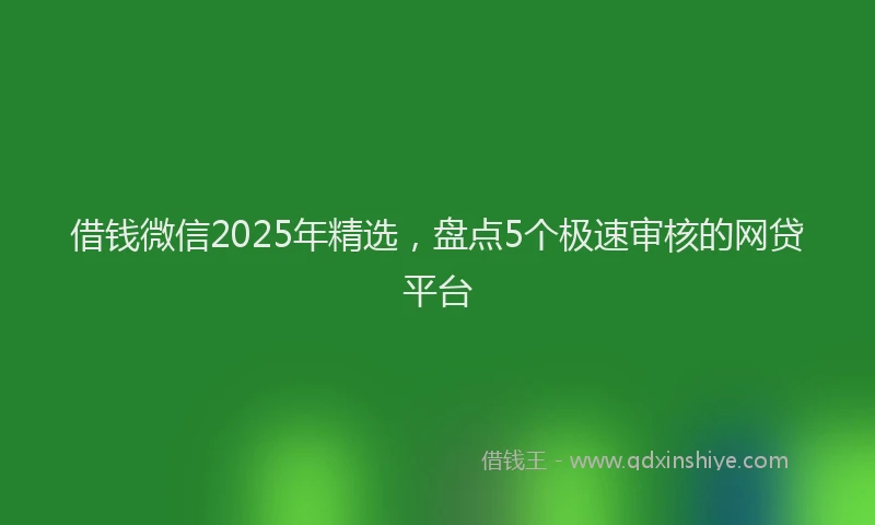 借钱微信2025年精选，盘点5个极速审核的网贷平台
