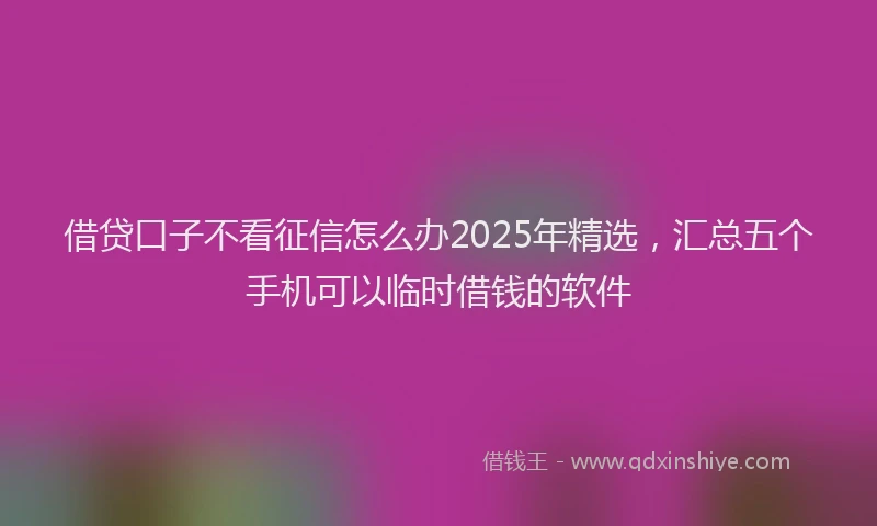 借贷口子不看征信怎么办2025年精选，汇总五个手机可以临时借钱的软件