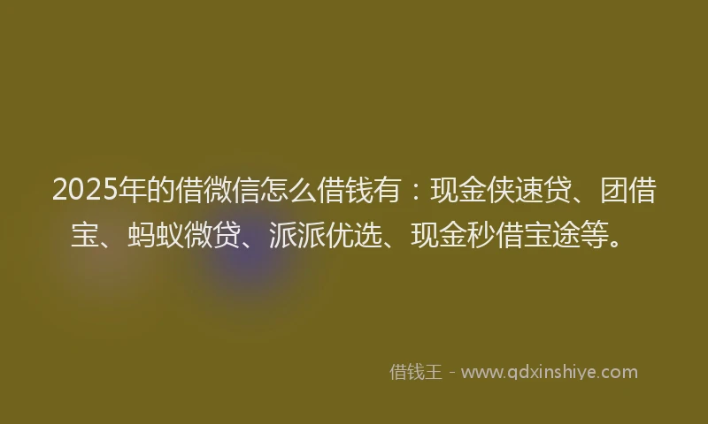 2025年的借微信怎么借钱有：现金侠速贷、团借宝、蚂蚁微贷、派派优选、现金秒借宝途等。
