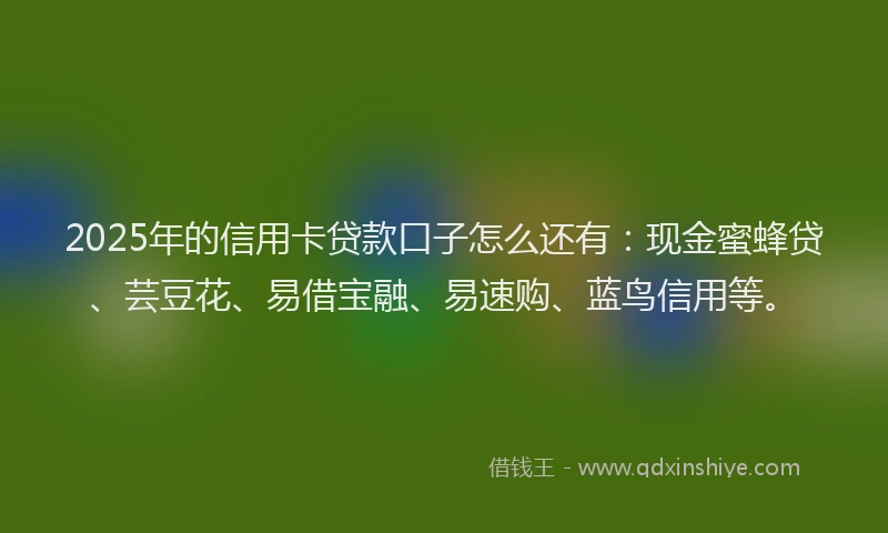 2025年的信用卡贷款口子怎么还有：现金蜜蜂贷、芸豆花、易借宝融、易速购、蓝鸟信用等。