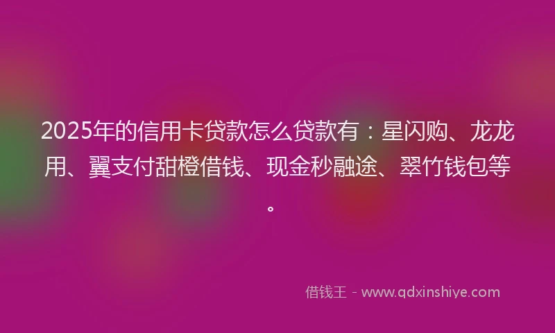 2025年的信用卡贷款怎么贷款有：星闪购、龙龙用、翼支付甜橙借钱、现金秒融途、翠竹钱包等。